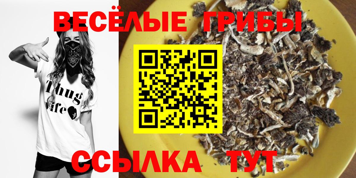 Псилоцибиновые грибы мухоморы  Вход с VPN  Коломна  Галлюциногенные грибы Psilocybe 