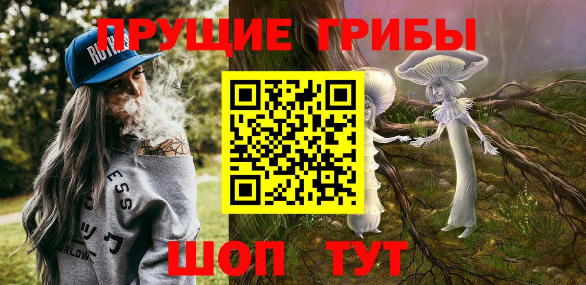 Галлюциногенные грибы GOLDEN TEACHER Коломна
